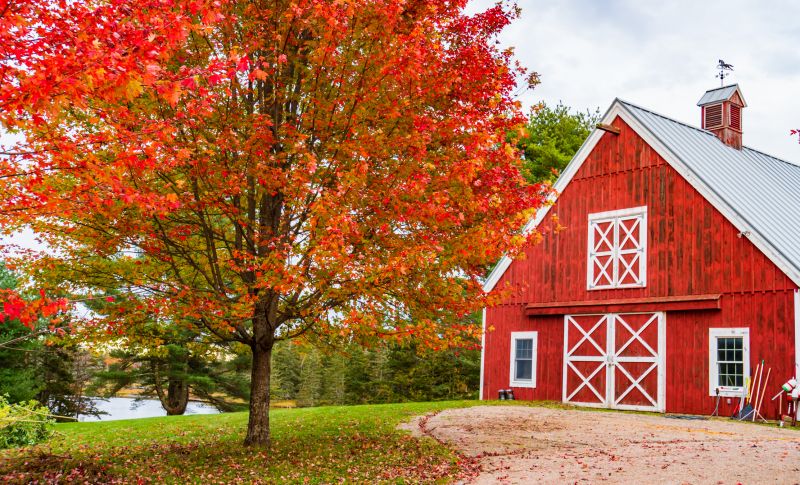 Barn Renovation in Kansas City, KS