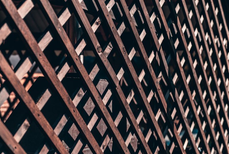 Damaged Trellis Frame