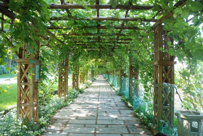 Trellis Construction in Kansas City, KS
