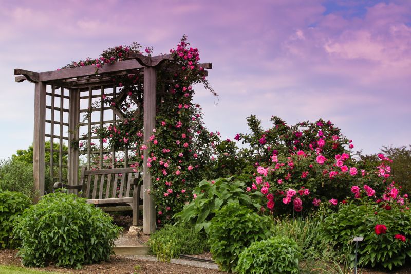 Enhances garden appearance.